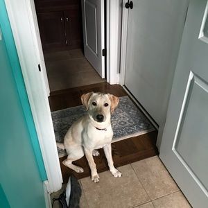 Meet your Posher, Missy